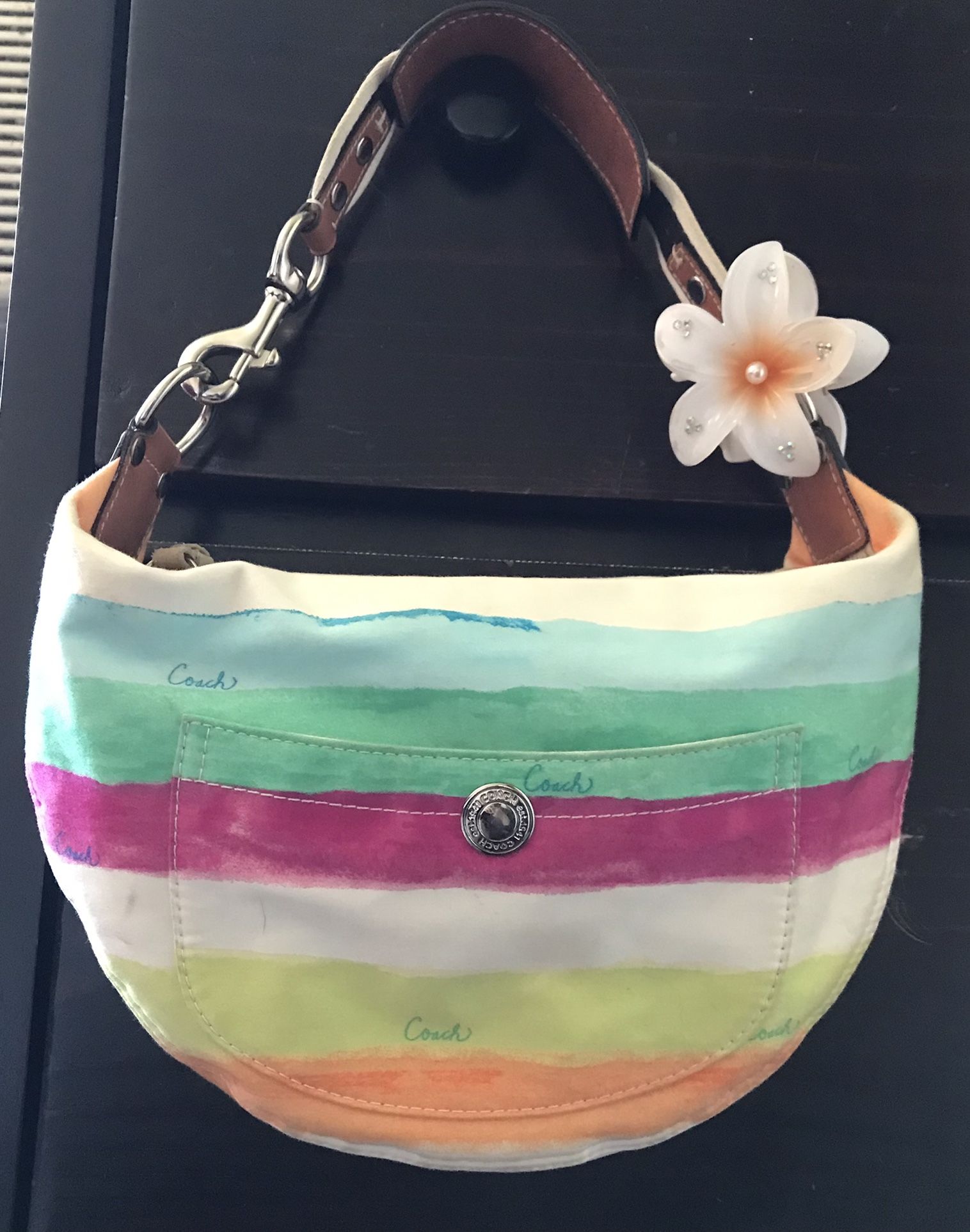 Y2k Spring/Summer Hobo Coach Purse