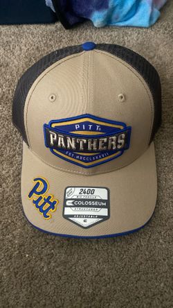 Pitt panthers Hat