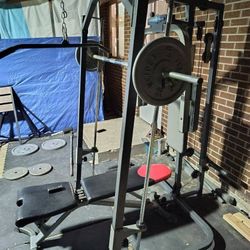 Smith machine weights