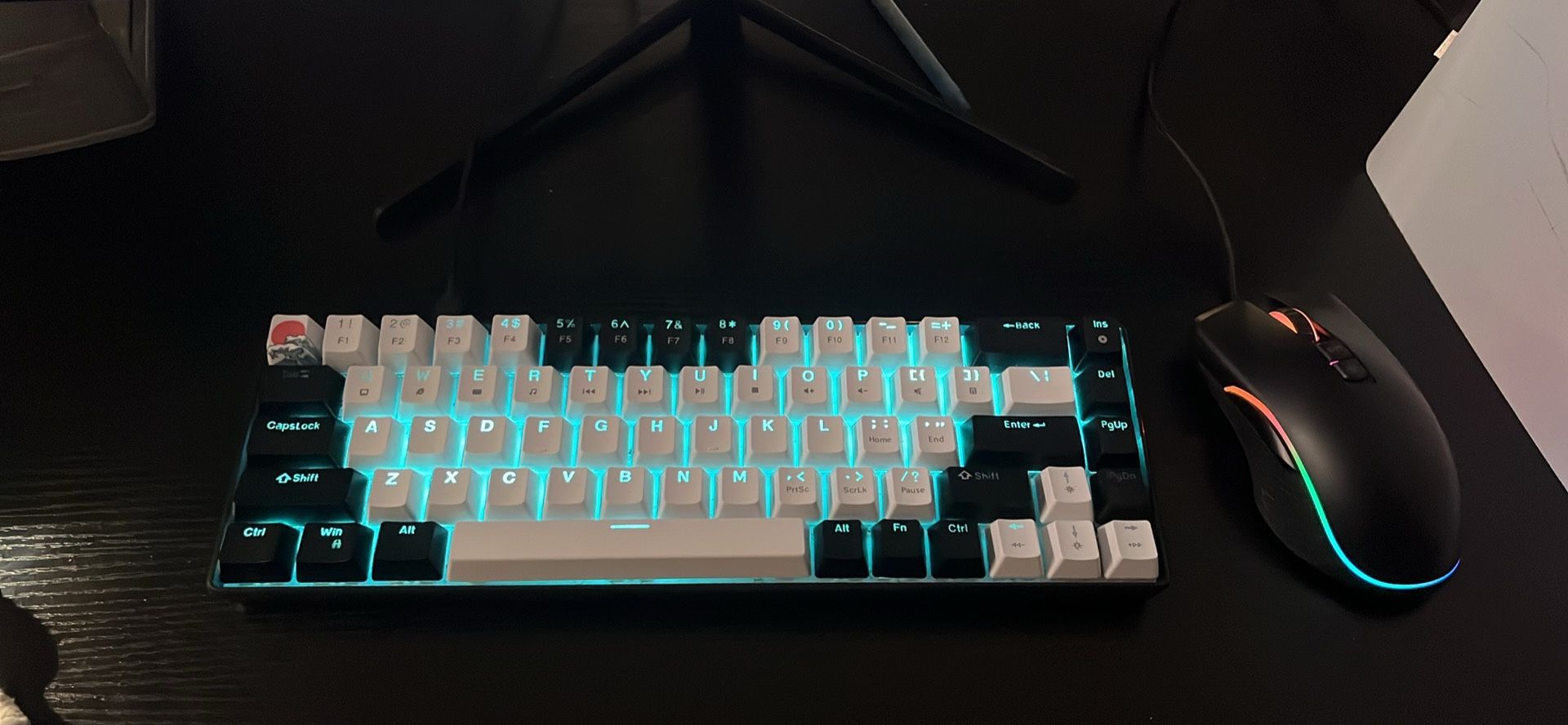 Keyboard & Mouse