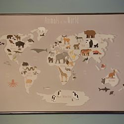 Art Framed Animals Of The World