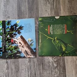 Vinyl Album Records Bird Sounds