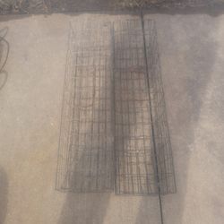 Muskrat Colony Traps 