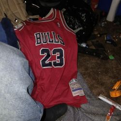 Authentic Michael Jordan Jersey