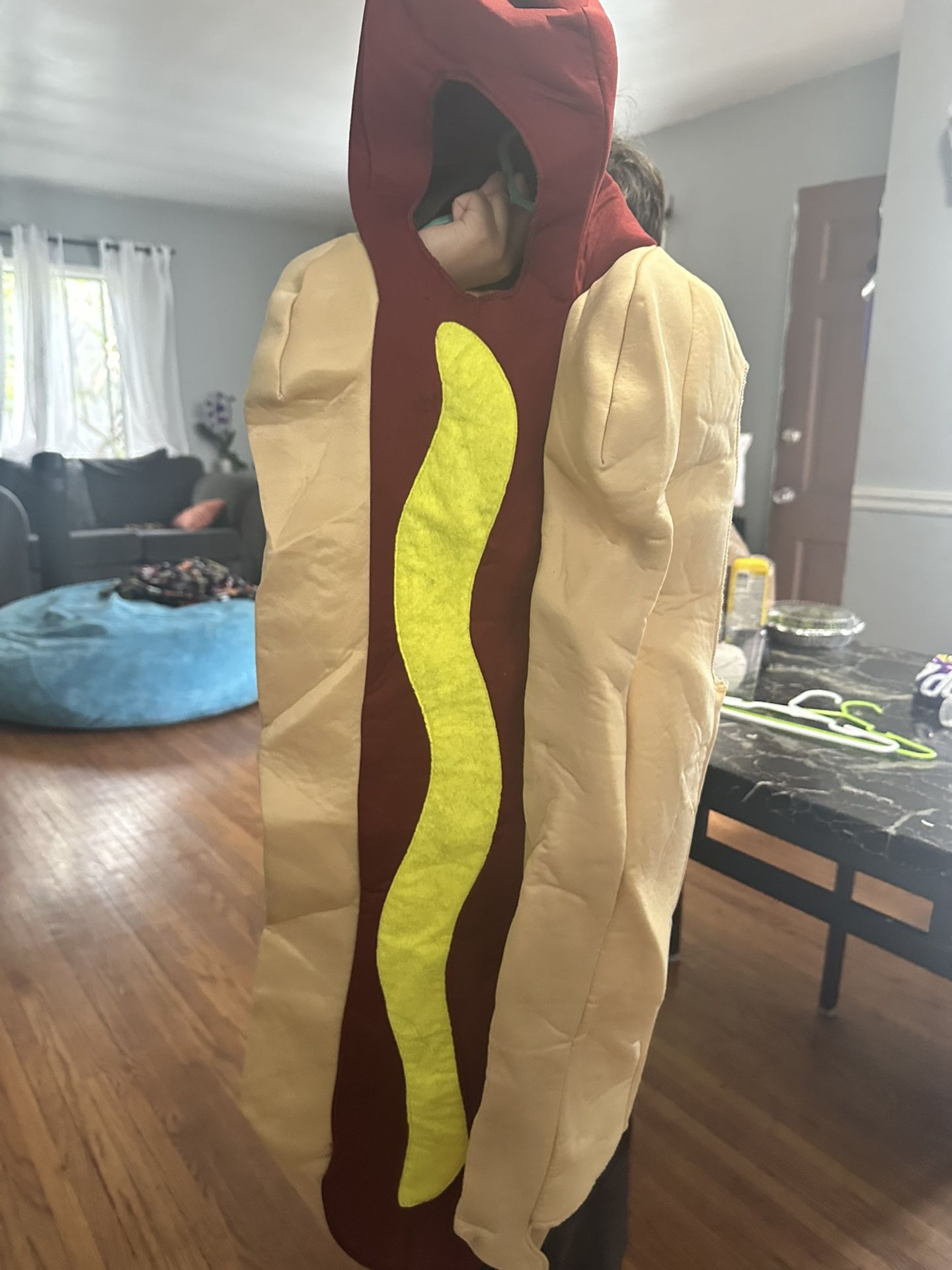 Hotdog Costume