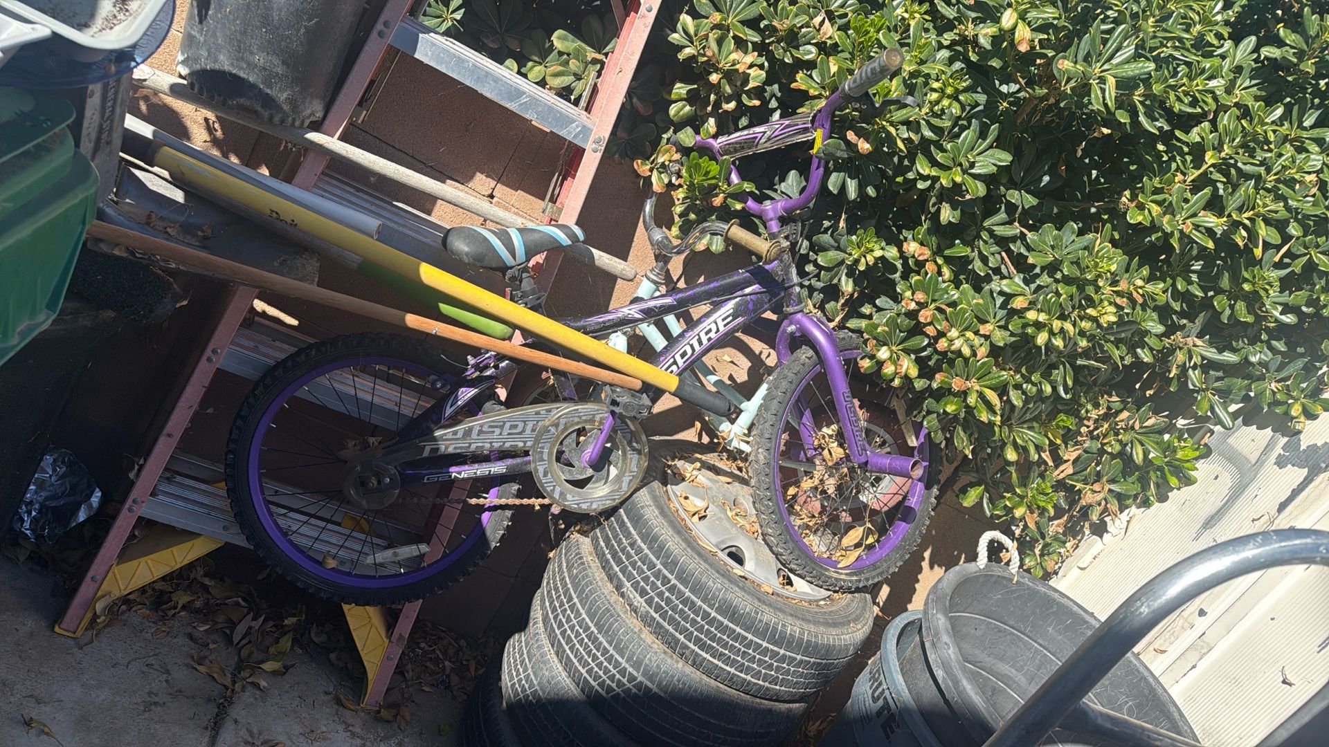 Girl Bike