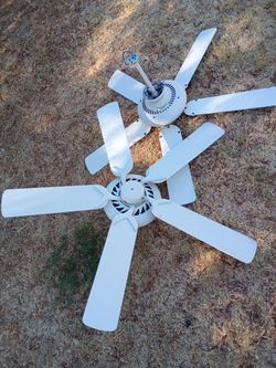 White ceiling Fans