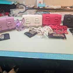 Small Mini Purses