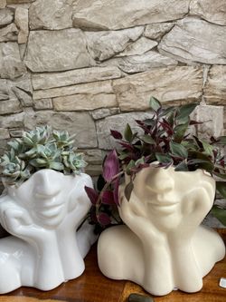 🌵Echeveria Succulents In Ceramic Pot 6"H. 🪴House Plant Fuzzy Baby Bunny Bellies Tradescantia In  6"H Head Planter Pots. Each. 