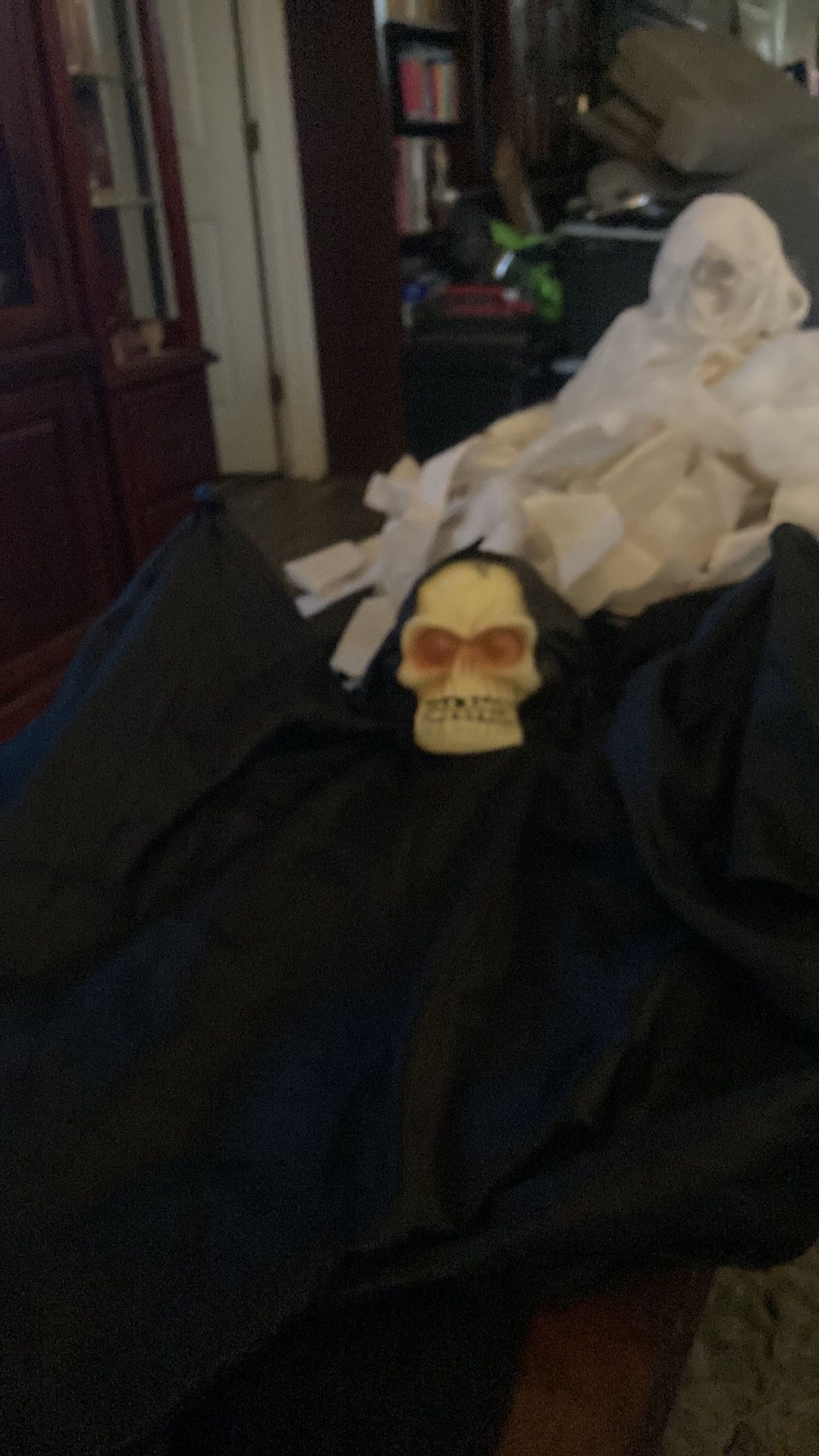 Skeleton Halloween Decor