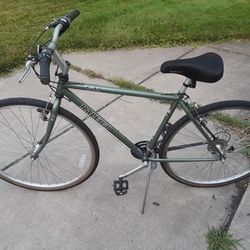 Raleigh C-40 Bike tires 700x38C