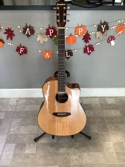 Breedlove Solo Dread Electric/Acoustic Guitar