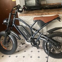 Electric Bike 