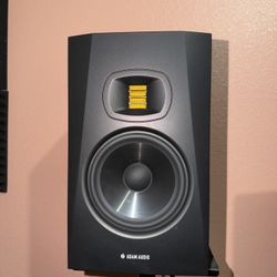 Adam Audio T7V