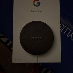 Nest Mini
