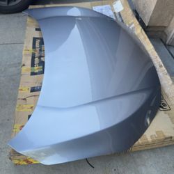 20 Civic OEM Hood
