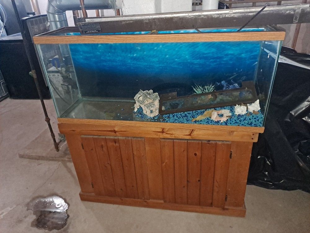 All You Need To Have A Beautiful Aquarium