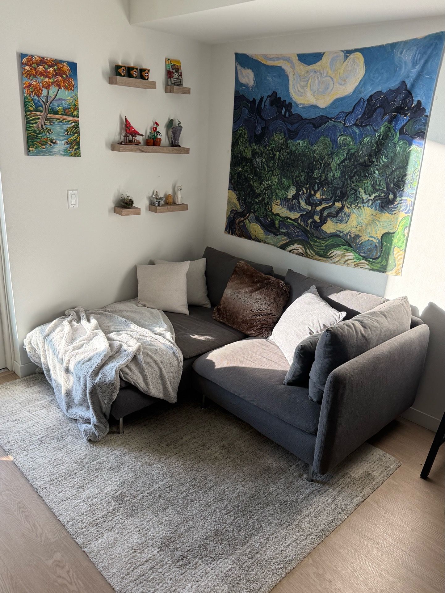 Gray Couch