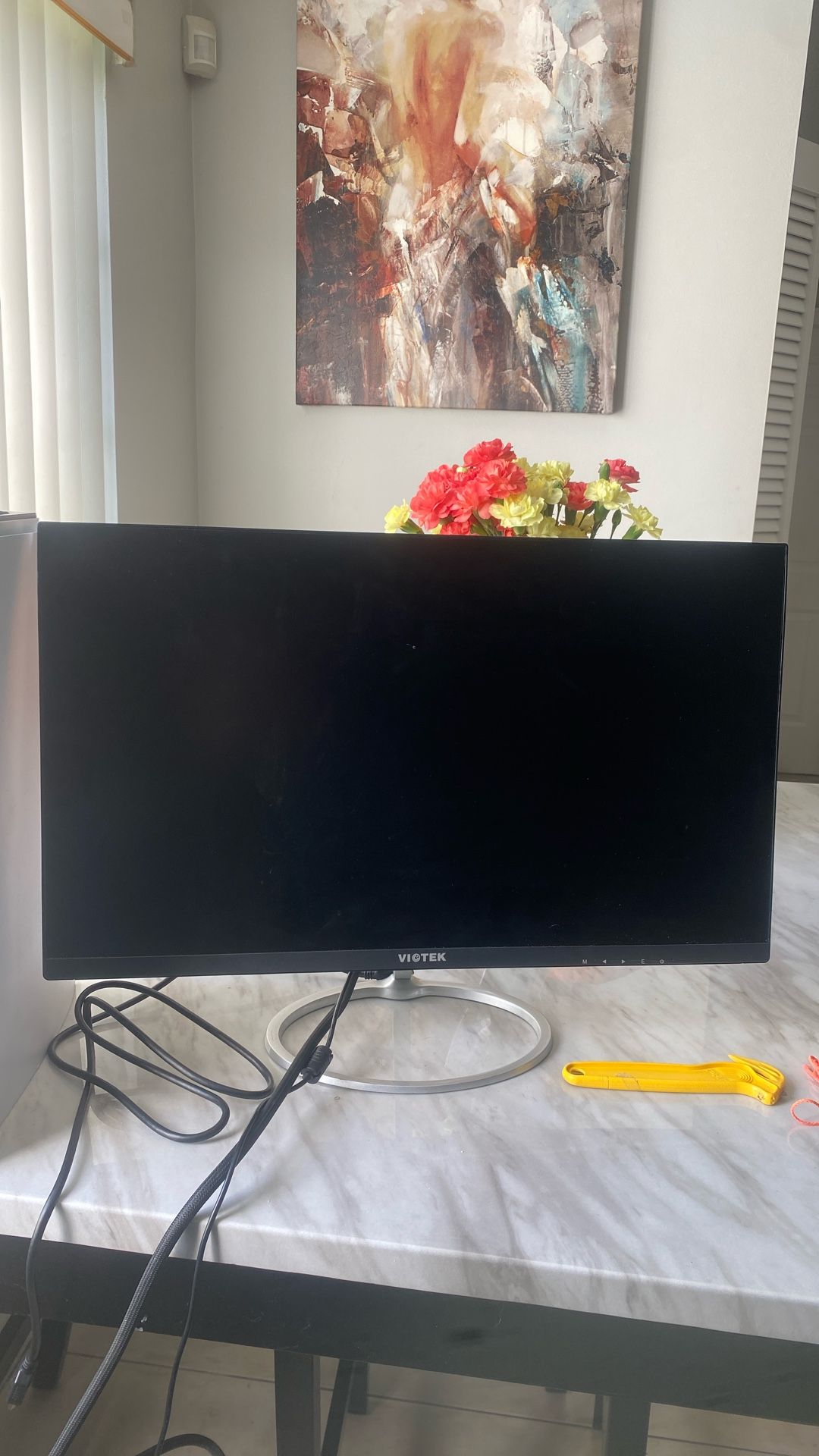 Viotek 100hz Monitor