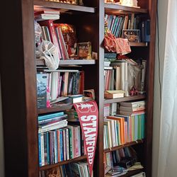 Bookshelf With Light