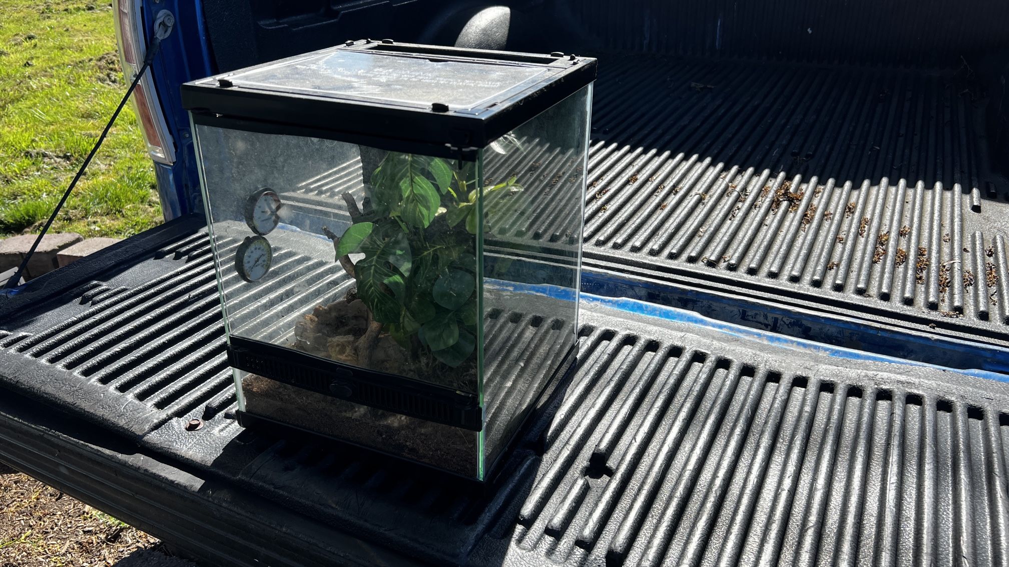 Zilla 12x12x15 Terrarium for Sale in Bonney Lake, WA OfferUp