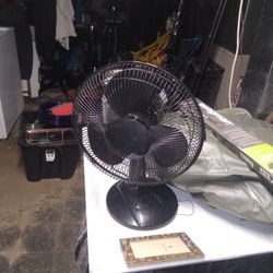 Fan