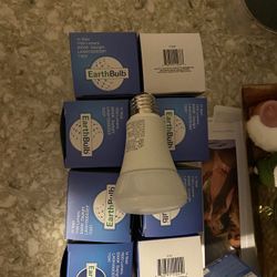 Philips 880 Lumens Bulb (8-Pack) - White