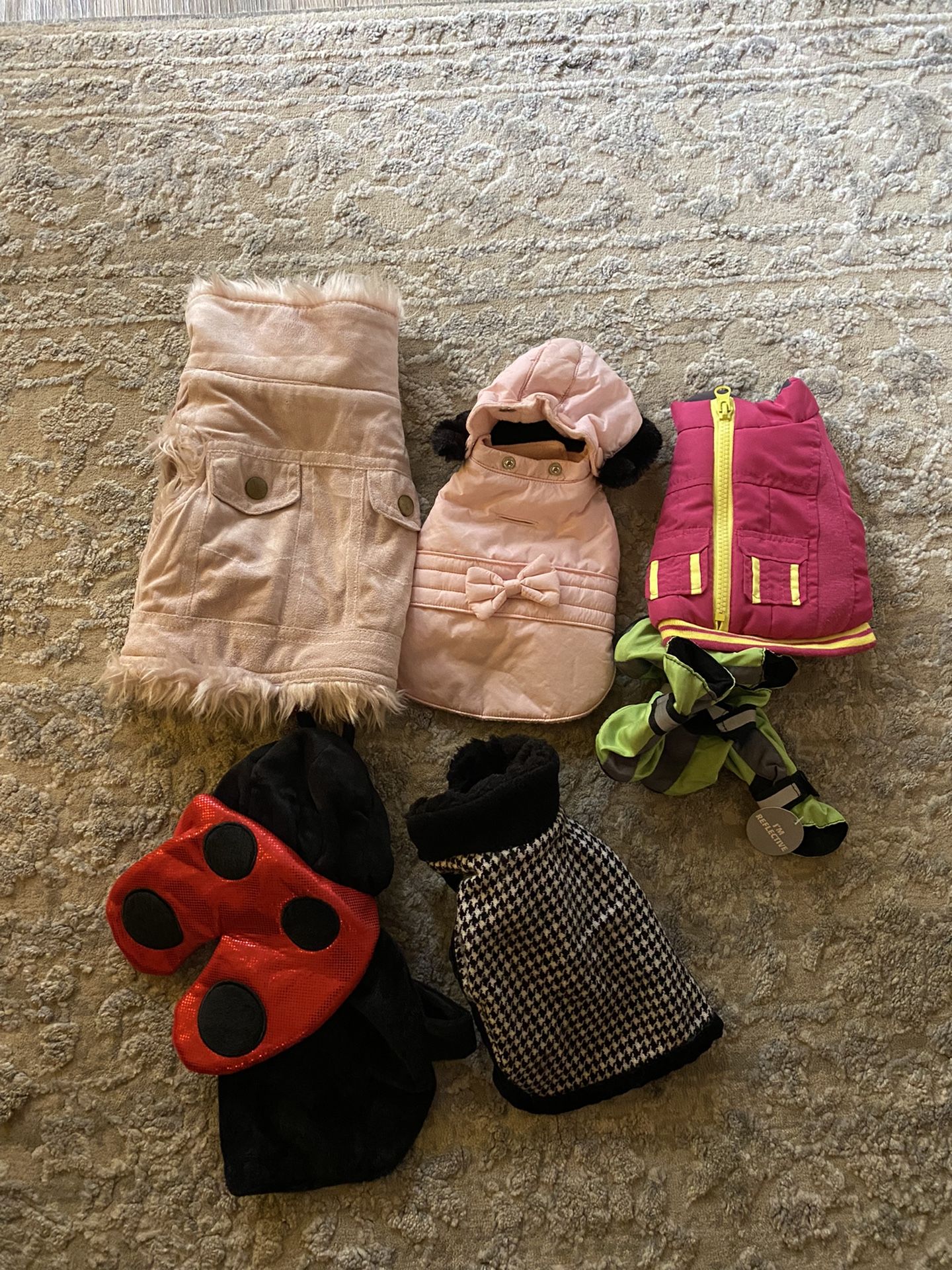 DOG Clothing XS   Dropped Price!
