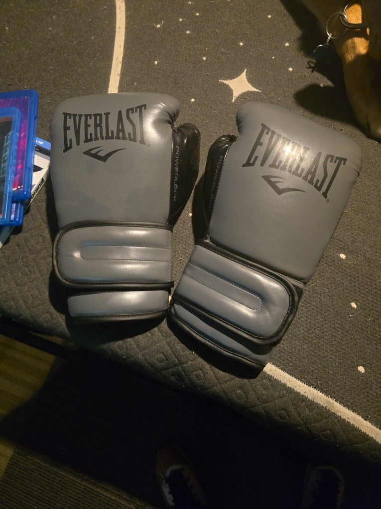 Everlast PowerLock 2 Boxing Gloves