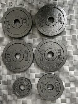 4 5LBS Weight, 2.5 LBS and 1.25 LBS