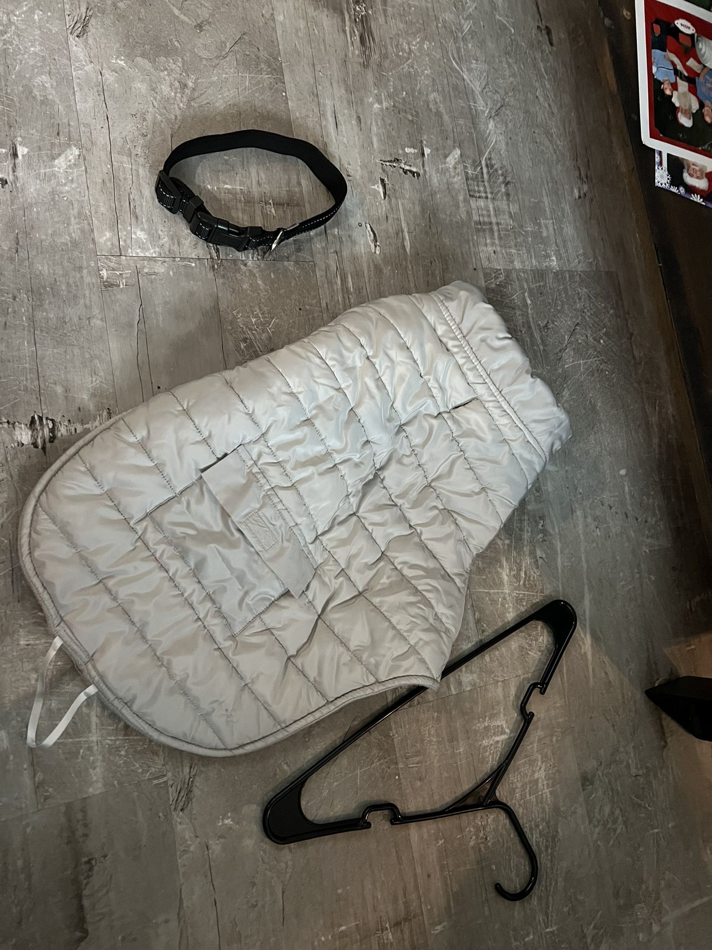Large Dog Collar And Jacket