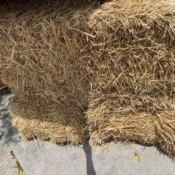 3 Full Size Straw Hay Bales 