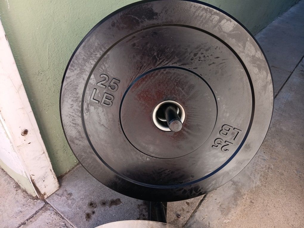 Bumper Weight Plates 25 Pounds 