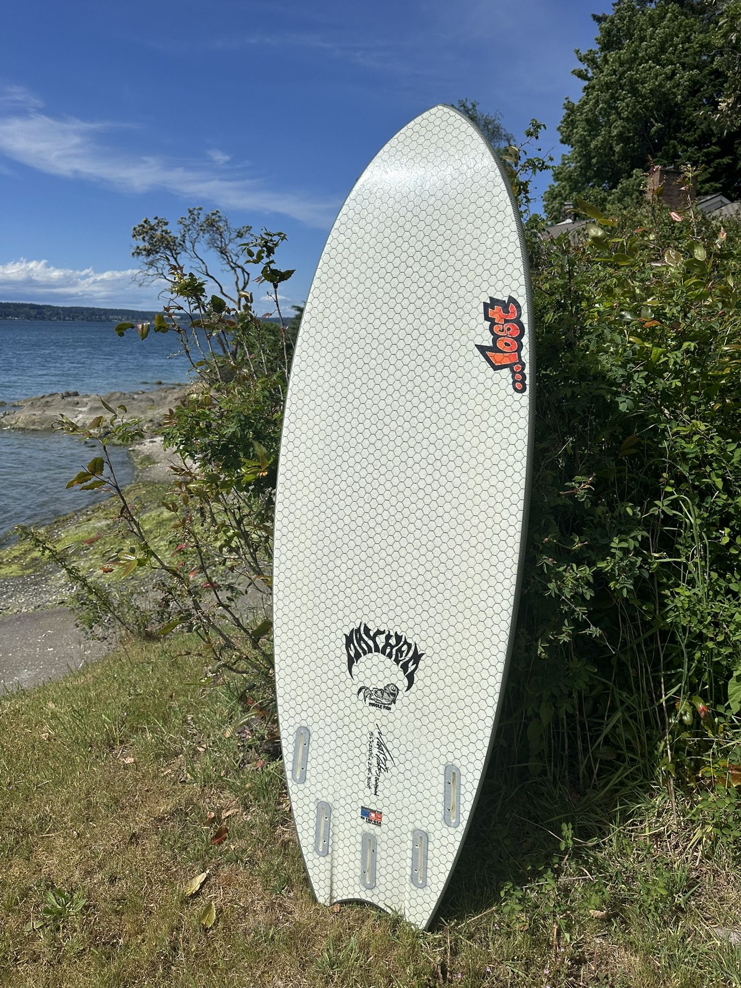 Puddle Fish Surfboard
