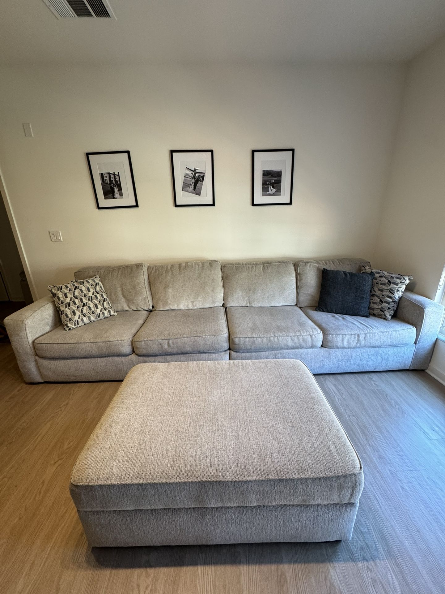 Living Room Couch - Grey
