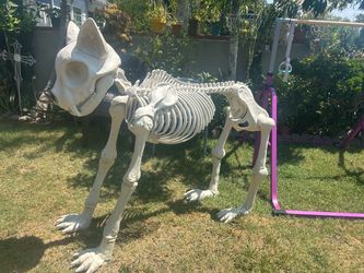 Skeleton Cat
