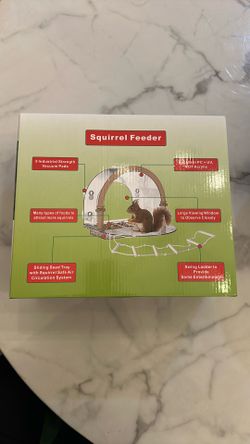 Squirrel feeder