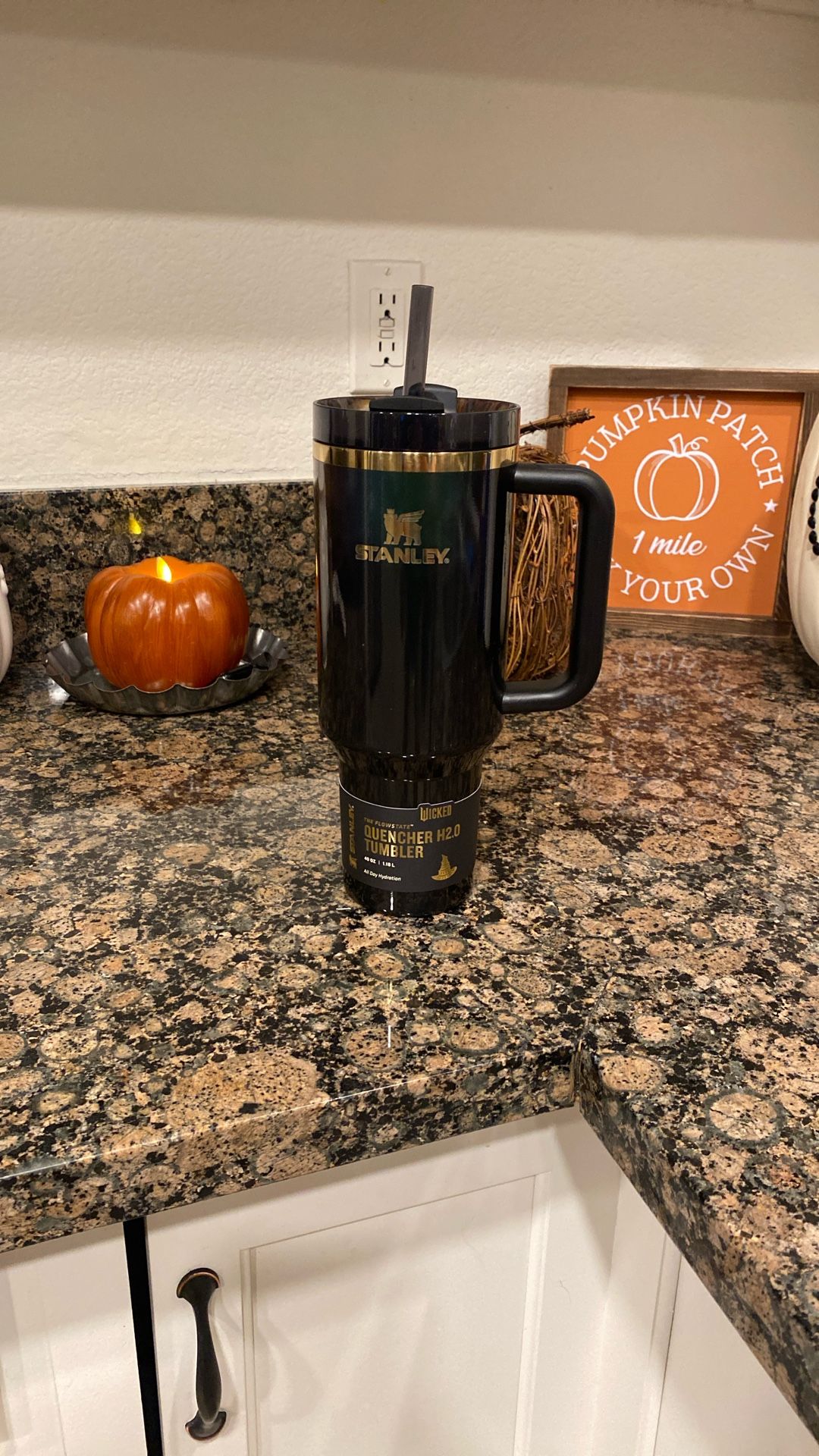 Wicked Stanley 40 Oz