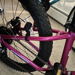 New Bike