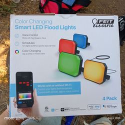 $40 OBO FEIT ELECTRIC | Smart Changing Flood Lights (4)