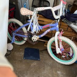 Girls Bike With Training Wheels. 