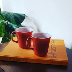 Set of 2 Vintage Burnt Orange Pyrex Mugs/Cups. Bottom lable is different between the two but the cups are identical. Good condition.
