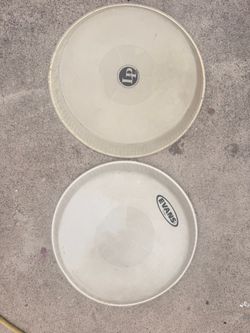 Conga heads (synthetic )