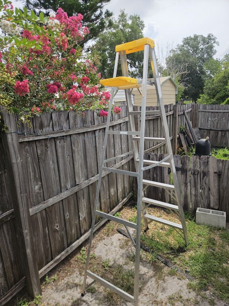 8ft Aluminum Ladder