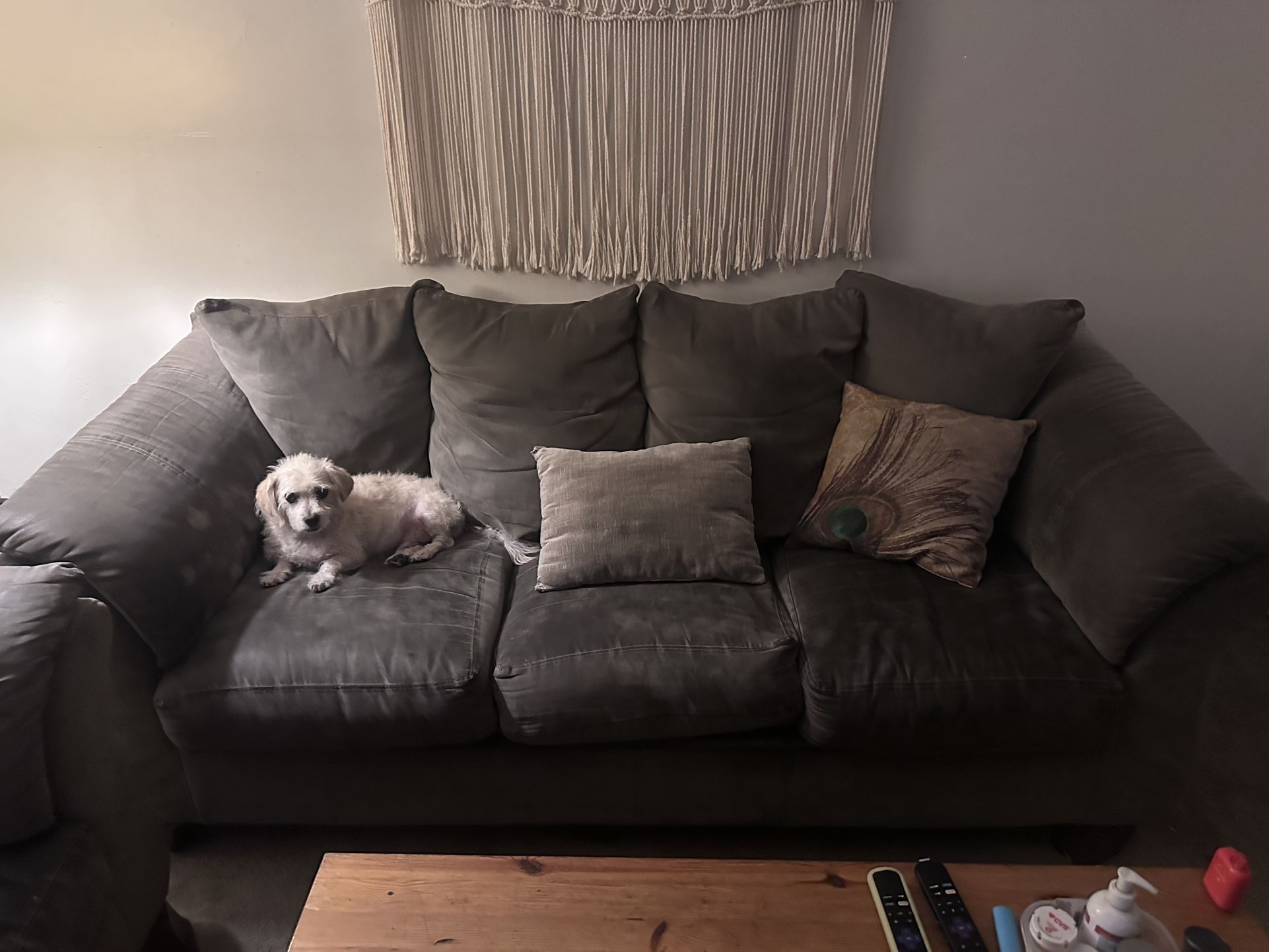 Free Couches