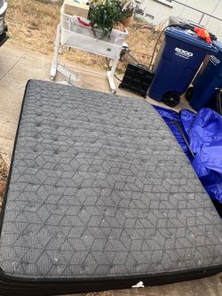 Sealy Queen Mattress