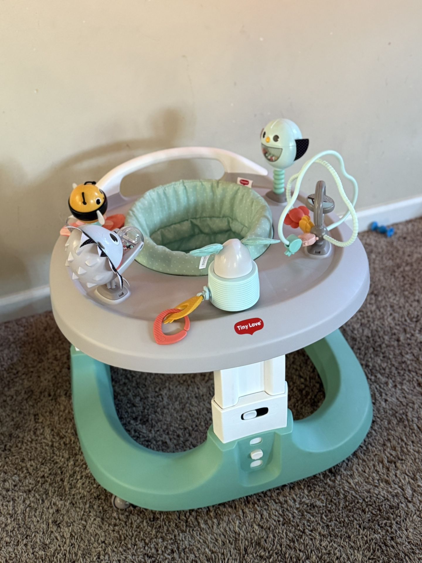 Tiny Love Activity Center