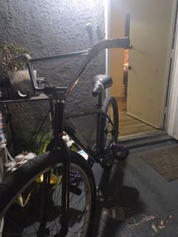 Throne 29er