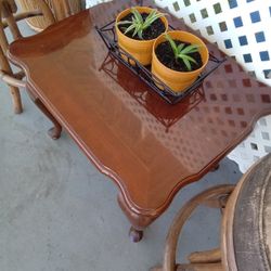 Two Plants On Mdetal Vase 