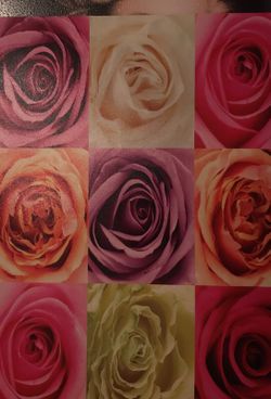 Floral Painting